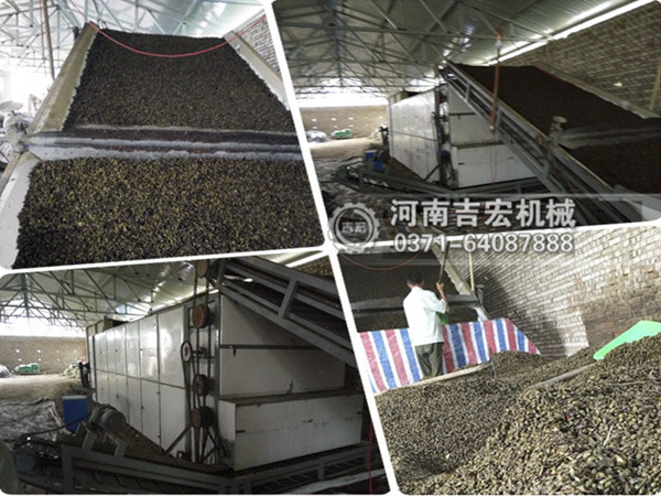 連翹烘干機_小型連翹烘干設備價格_大型連續(xù)式連翹烘干機廠家