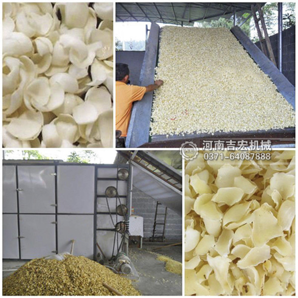 百合烘干機_小型百合烘干設備價格_連續(xù)式多層百合烘干設備廠家